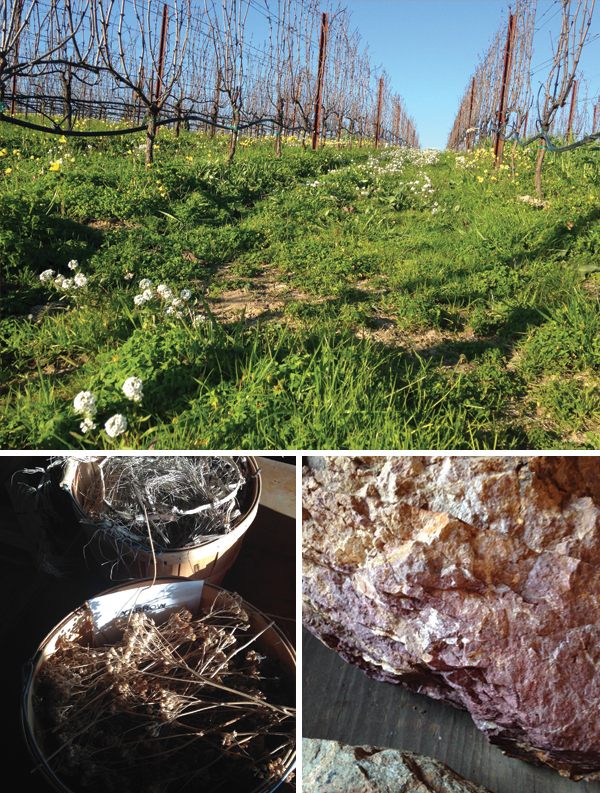 Littorai's Sonoma Coast location