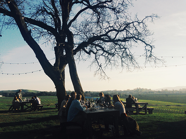 Scribe Winery's hilltop tasting "room"